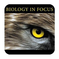 apbiology 